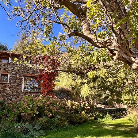 La Casa Del Nogal Villa Guejar Sierra Exterior foto