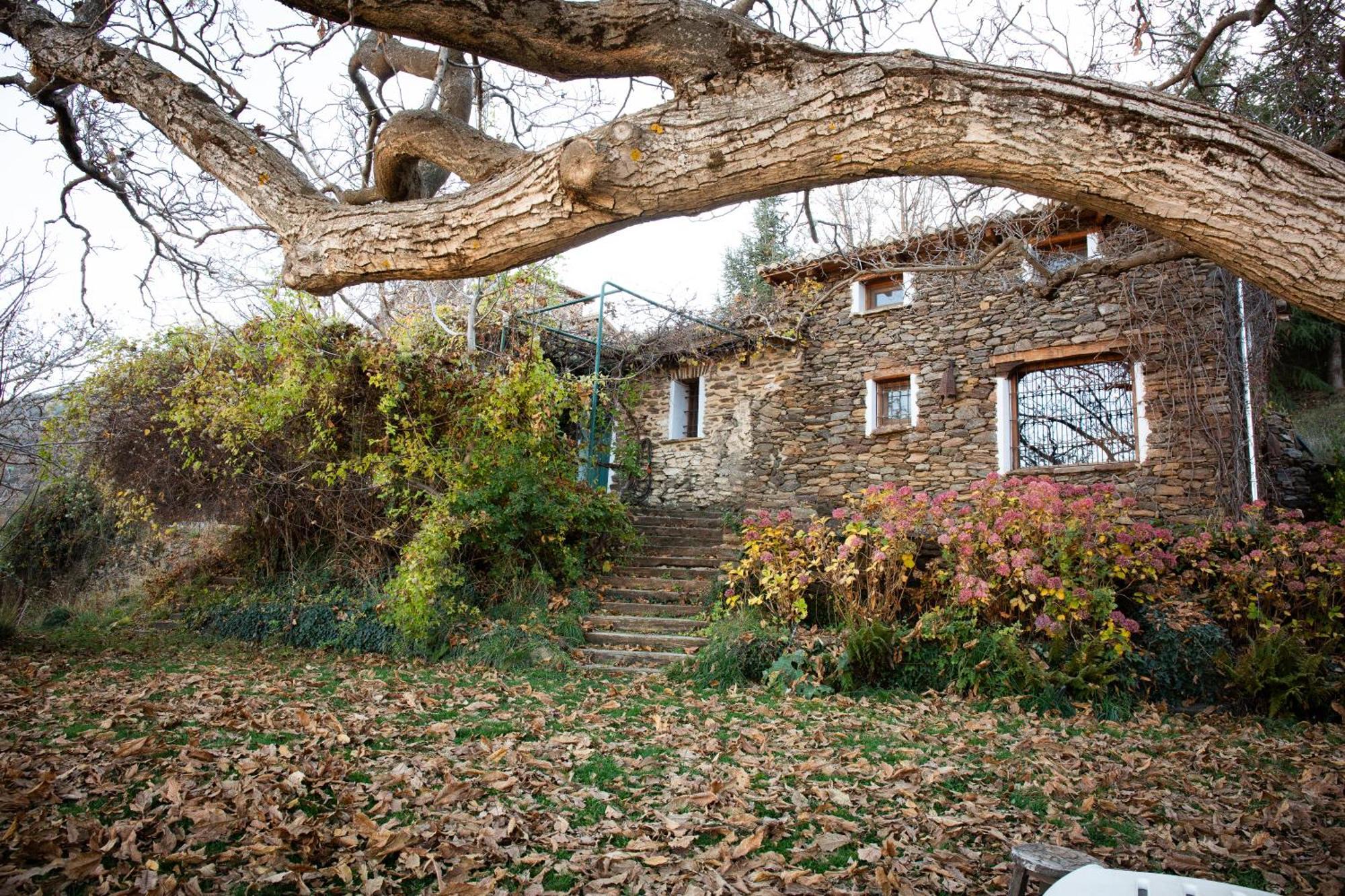 La Casa Del Nogal Villa Guejar Sierra Exterior foto