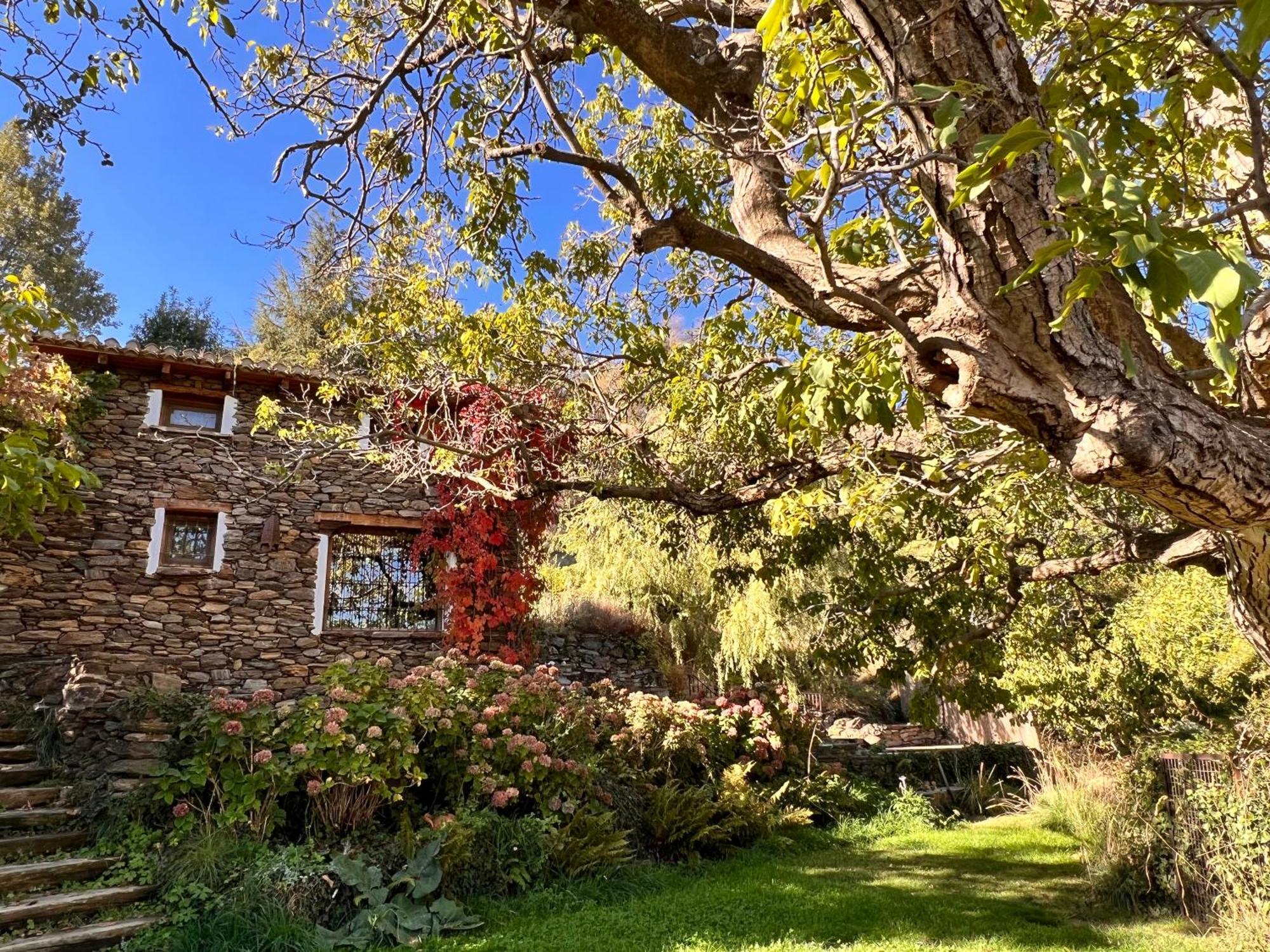 La Casa Del Nogal Villa Guejar Sierra Exterior foto